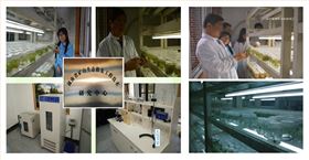 湖南省矿山生态修复手艺研究中心