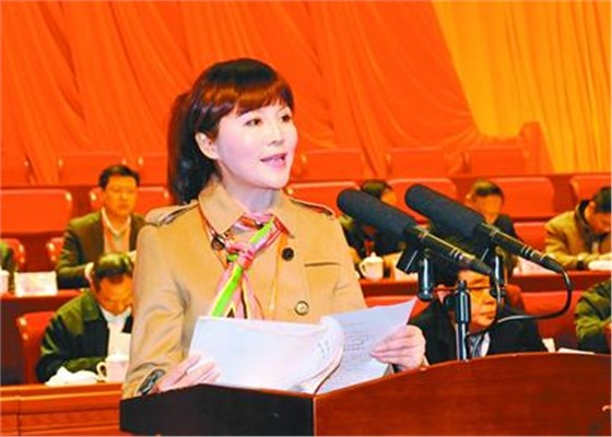 湖南省优发国际董事长张卫