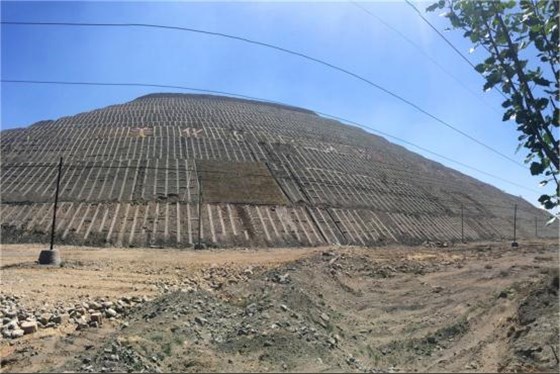 乌？？笊叫薷辞