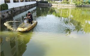 深圳市香密湖治理处内湖生态治理