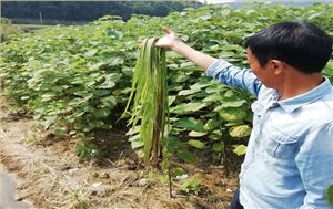 贵州省铜仁市生态修复与精准扶贫树模区