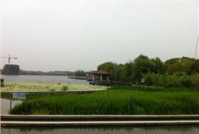 青竹湖3