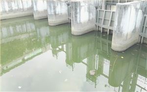 深圳市新洲河出？？？诤恿魃薷次鬯