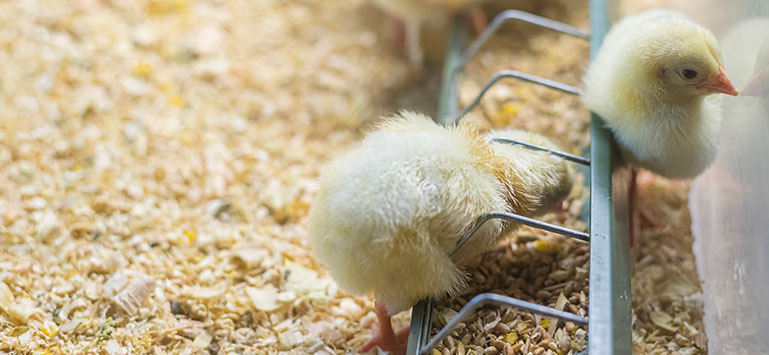 大奖国际·18dj18(中国)官方网站