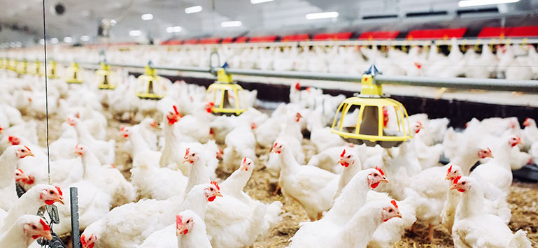 大奖国际·18dj18(中国)官方网站