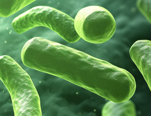 大奖国际·18dj18(中国)官方网站