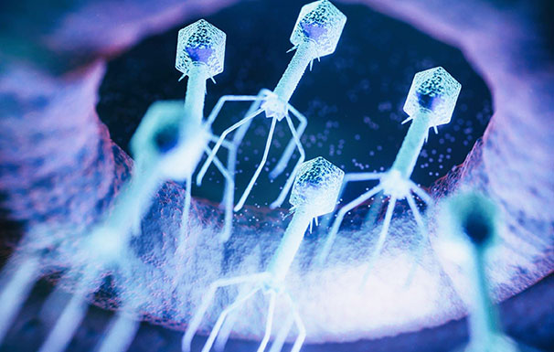 大奖国际·18dj18(中国)官方网站