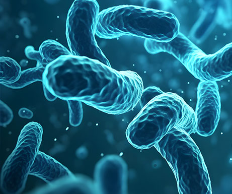 大奖国际·18dj18(中国)官方网站