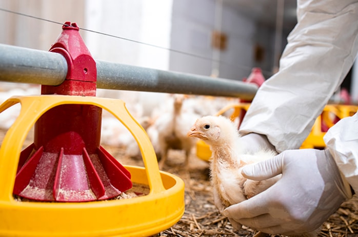 大奖国际·18dj18(中国)官方网站