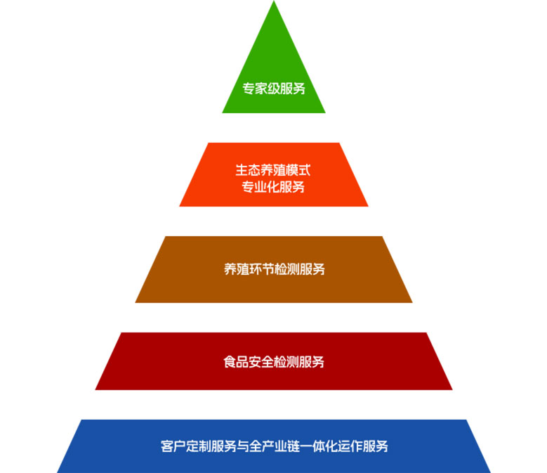 大奖国际·18dj18(中国)官方网站