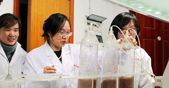 国家重金属污染防治工程手艺研究中心副主任