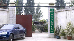 优发国际山庄苗木基地优发国际山庄苗木基地