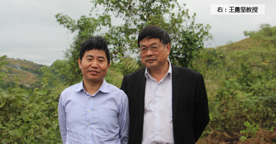 副教授级研究员、、高级工程师