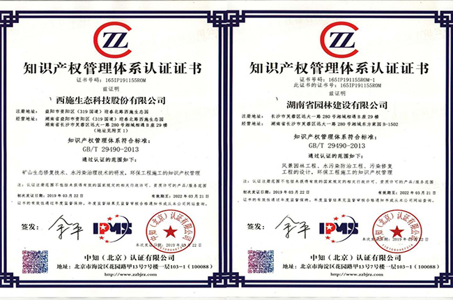 知识产权治理系统认证证书