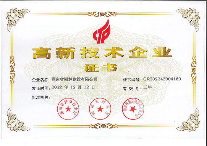 高新手艺企业证书