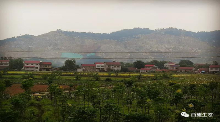 优发国际生态华容县考察2