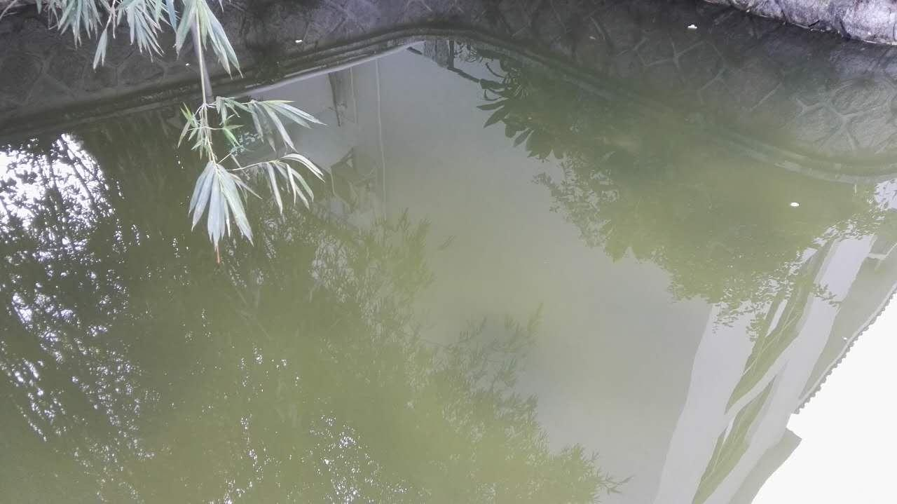 深圳市香密湖治理处内湖生态治理