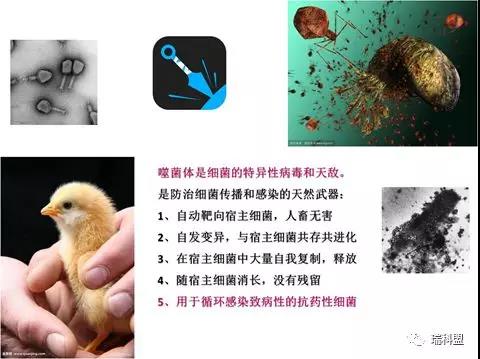 【瑞科盟，康健梦】热烈祝贺瑞科盟生物工程有限公司正式建设！