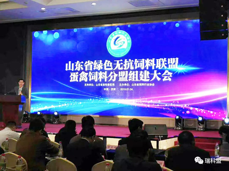  天空一声雷响，瑞科盟闪亮登。