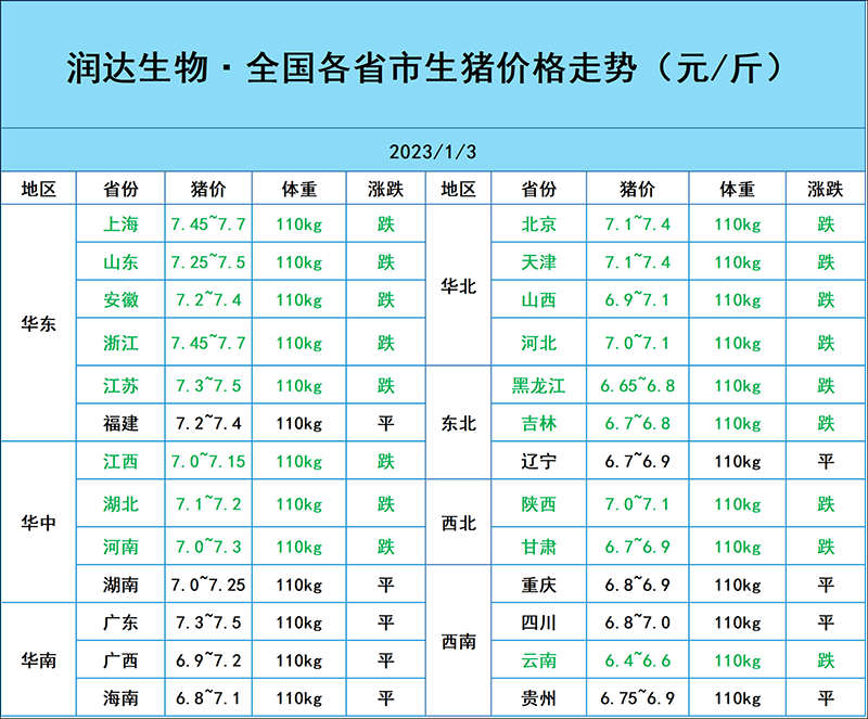 1月3日猪价行情