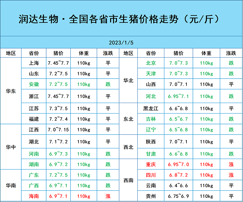 1月5日猪价行情