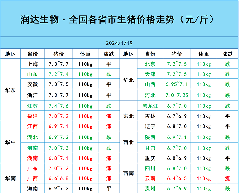 1月19日猪价行情