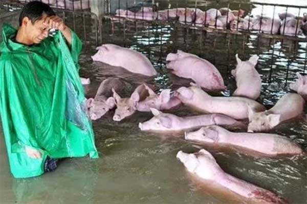  豫你一起，志同道合！大奖国际生物捐赠消毒防疫物资支援河南灾区！