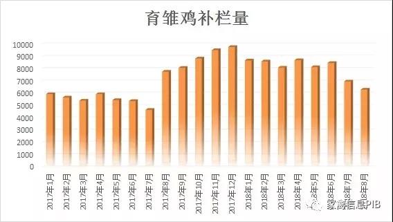 产蛋鸡的存栏结构