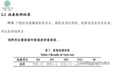 检测报告效果