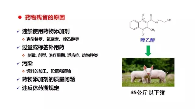 食物清静事务