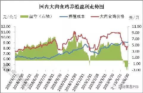 第二季度大肉食鸡养殖盈利剖析