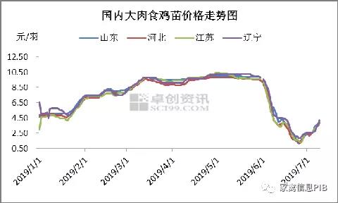 鸡苗价钱触底反弹，养殖本钱再度走高