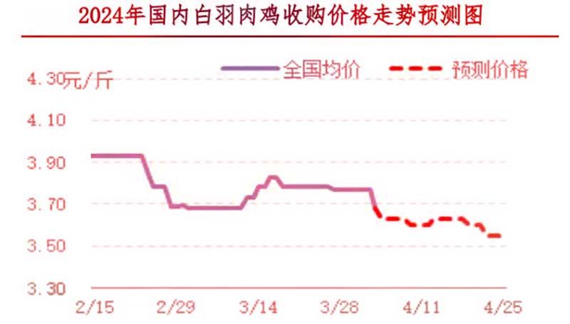 肉鸡市场下周行情展望