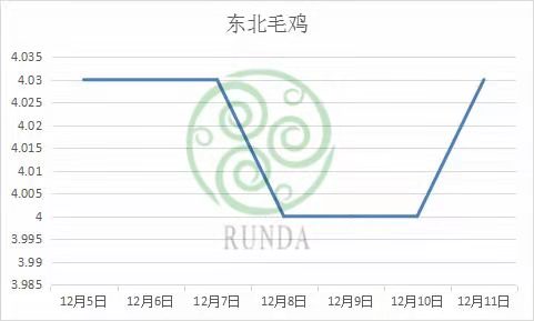 东北毛鸡市场行情