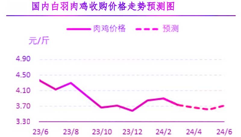 4月肉鸡市场行情展望