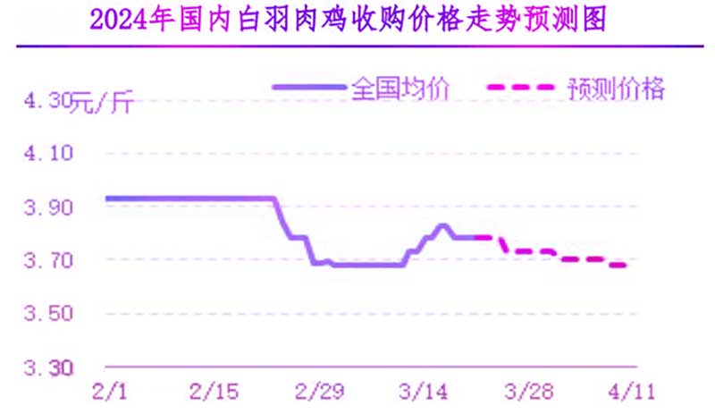 肉鸡市场下周行情展望