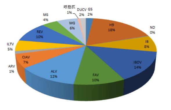 家禽病原检出情形