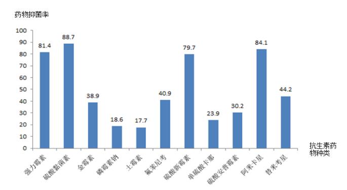 通俗抗生素药敏效果