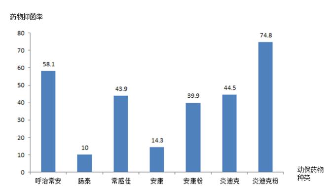 通俗抗生素药敏效果