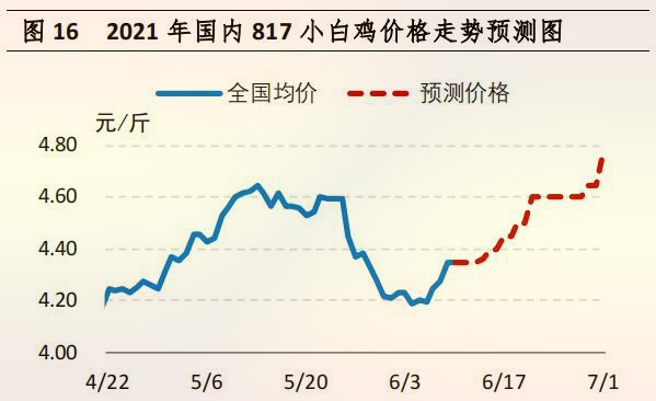 海内 817 小白鸡价钱走势展望图