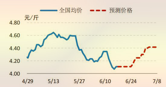 海内 817 小白鸡价钱走势展望图