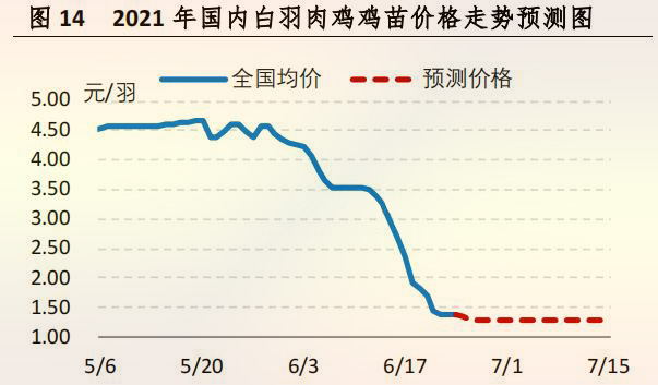 海内白羽肉鸡鸡苗价钱走势展望图