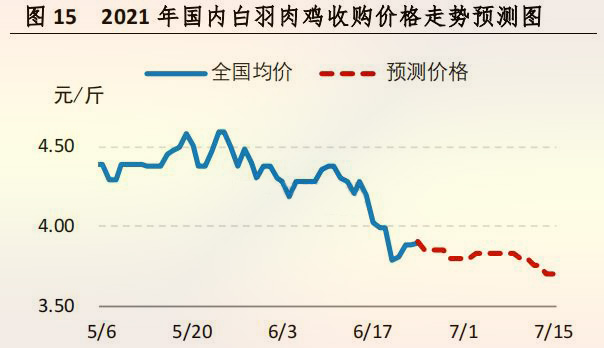 海内白羽肉鸡收购价钱走势展望图