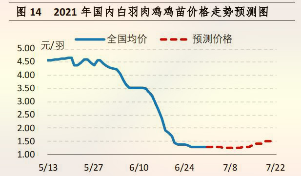 海内白羽肉鸡鸡苗价钱走势展望图