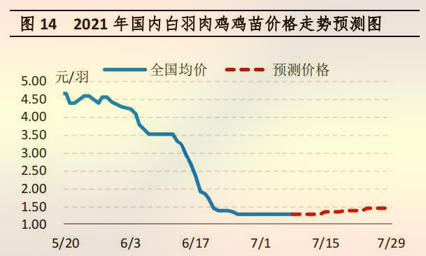 海内白羽肉鸡鸡苗价钱走势展望图