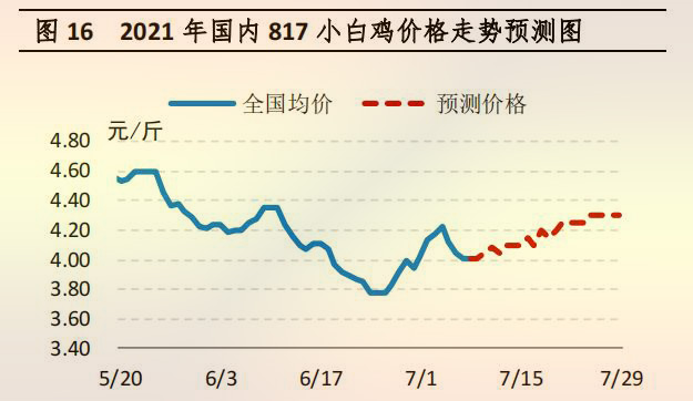 海内 817 小白鸡价钱走势展望图