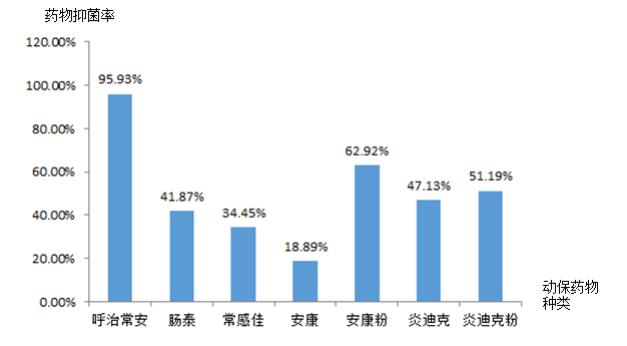 图3 动保药物药敏效果