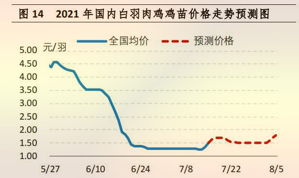 海内白羽肉鸡鸡苗价钱走势展望图