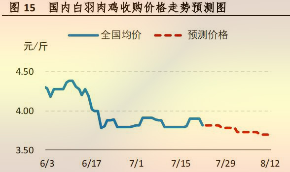 海内白羽肉鸡收购价钱走势展望图