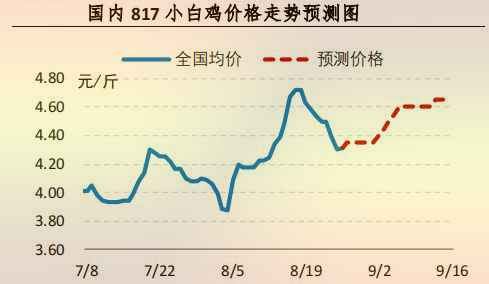 海内 817 小白鸡价钱走势展望图